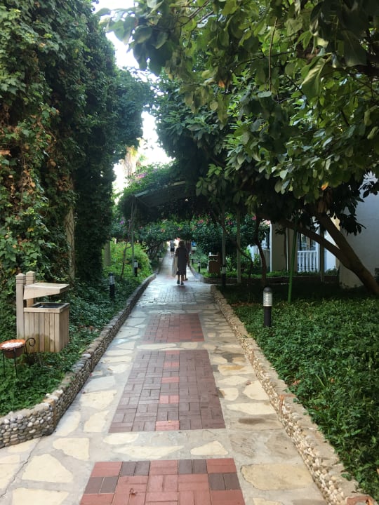 Pool Hotel Defne Star