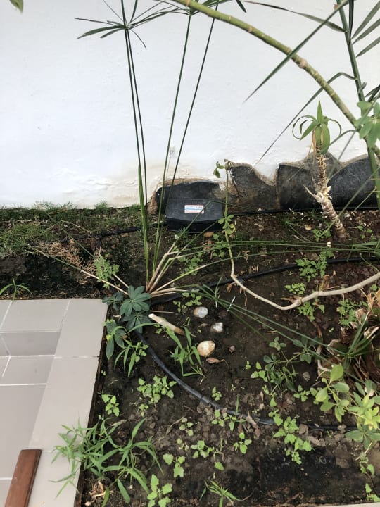 Zimmer Hotel Pine Bay Holiday Resort