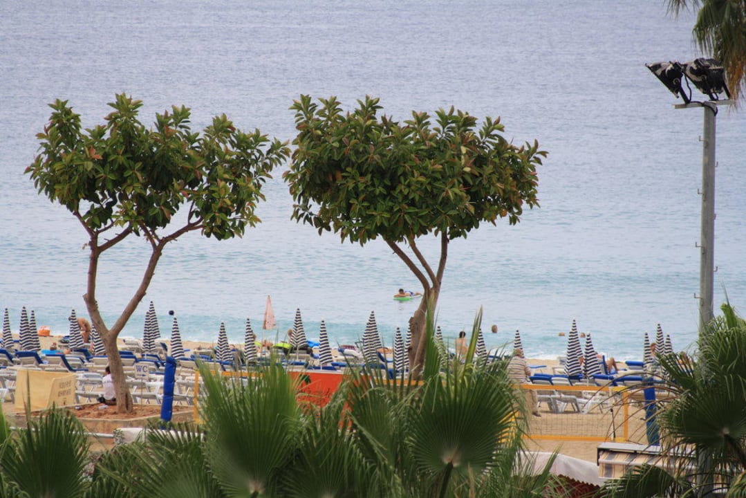 Ausblick von Zimmer 315 Gardenia Hotel