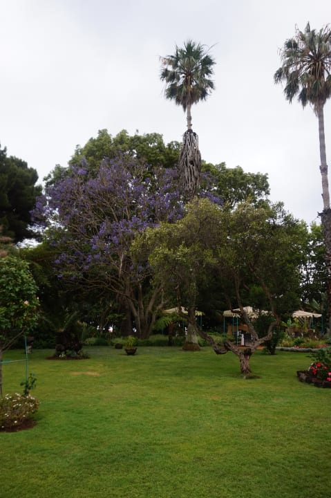 Gartenanlage Hotel Quinta Splendida Wellness & Botanical Garden