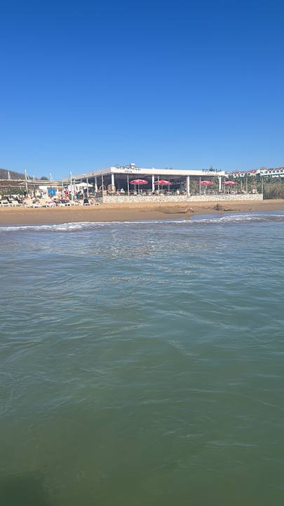 Strand Seashell Vega