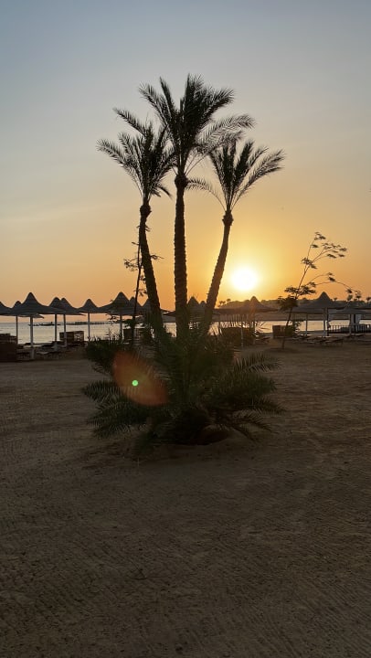 Strand Steigenberger Coraya Beach - Adults only