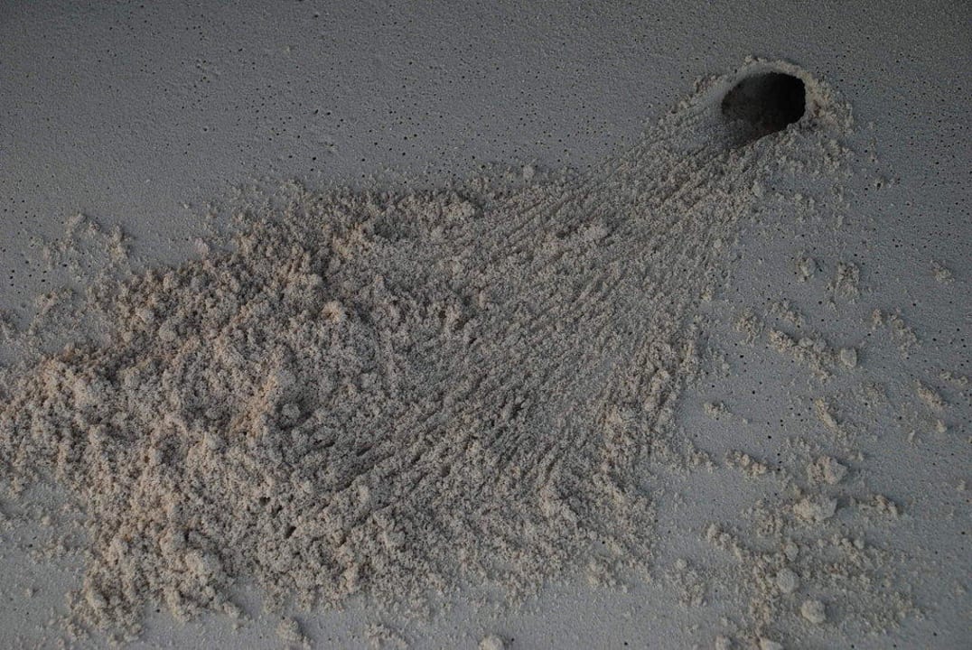 Krabbenlöcher Diamonds Thudufushi