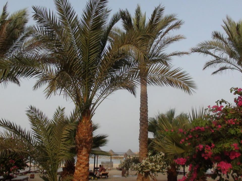 Aussicht Brayka Bay Resort