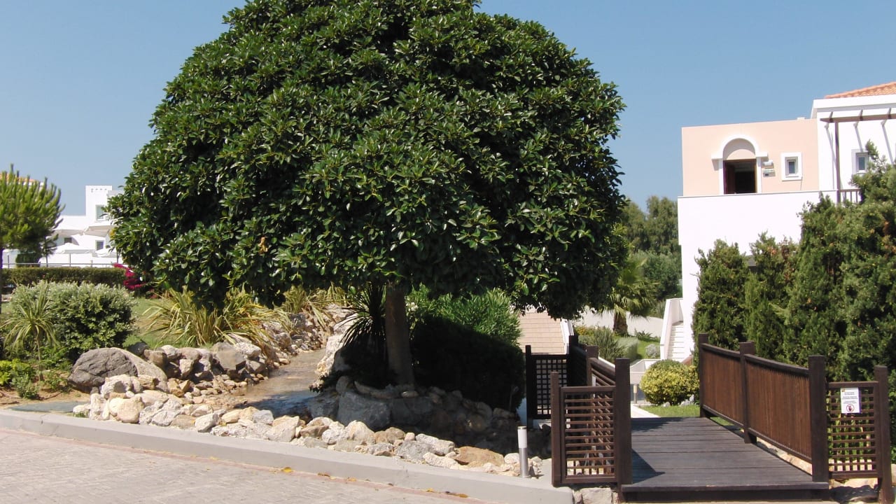 Durch die Hotelanlage Atlantica Marmari Palace