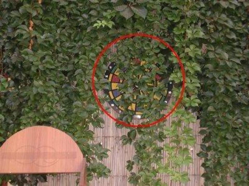 Sportangebot Hotel Mirage Apart