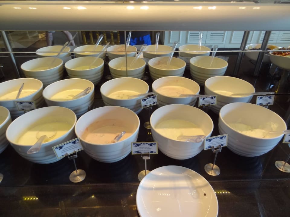 Joghurt Sorten Well Palace Side