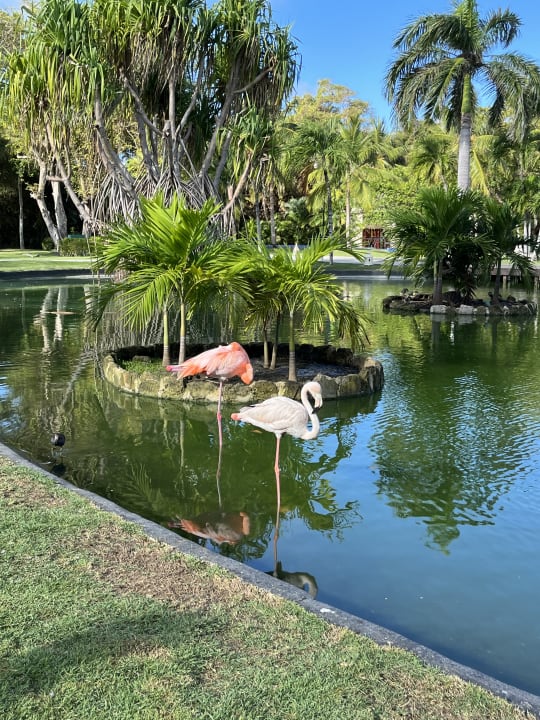 Gartenanlage Caribe Deluxe Princess