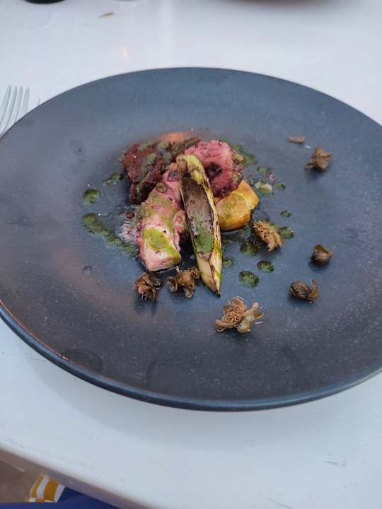 Gastro Acanthus Cennet Barut Collection