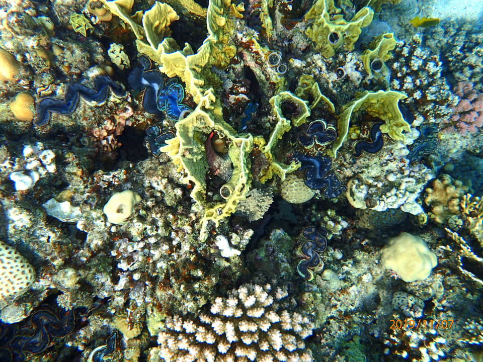 Sport & Freizeit Premier Le Reve Hotel & Spa