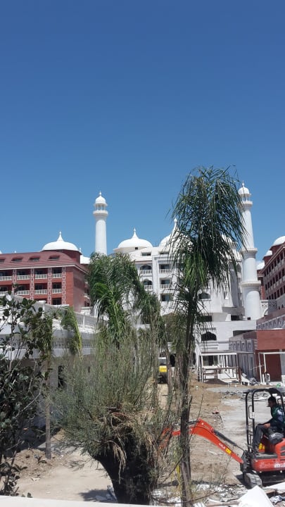 Vom Strand aus Royal Taj Mahal Hotel