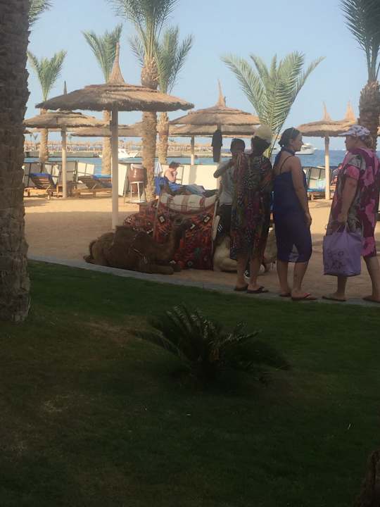 Strand Beach Albatros Resort