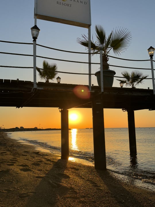 Strand Delphin BE Grand