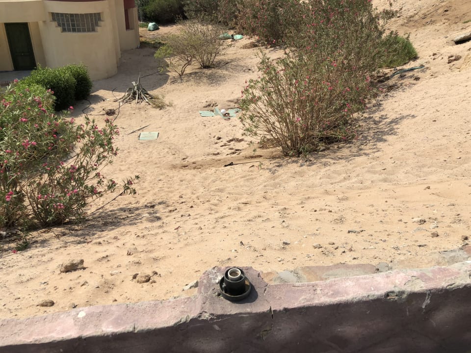 Gartenanlage Siva Golden Bay Makadi