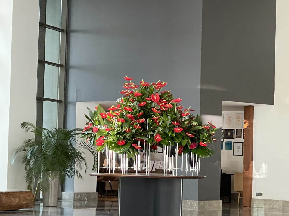 Lobby Acanthus Cennet Barut Collection