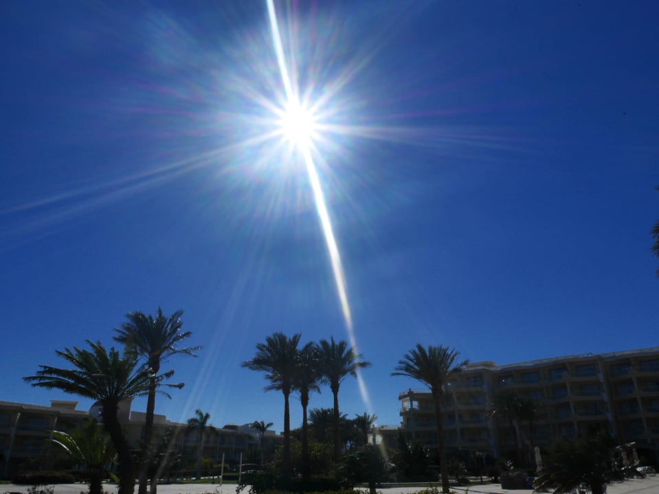 33 Grad Anfang April Palm Royale Resort - Soma Bay