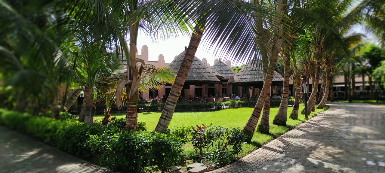 Gartenanlage Hotel Riu Cabo Verde