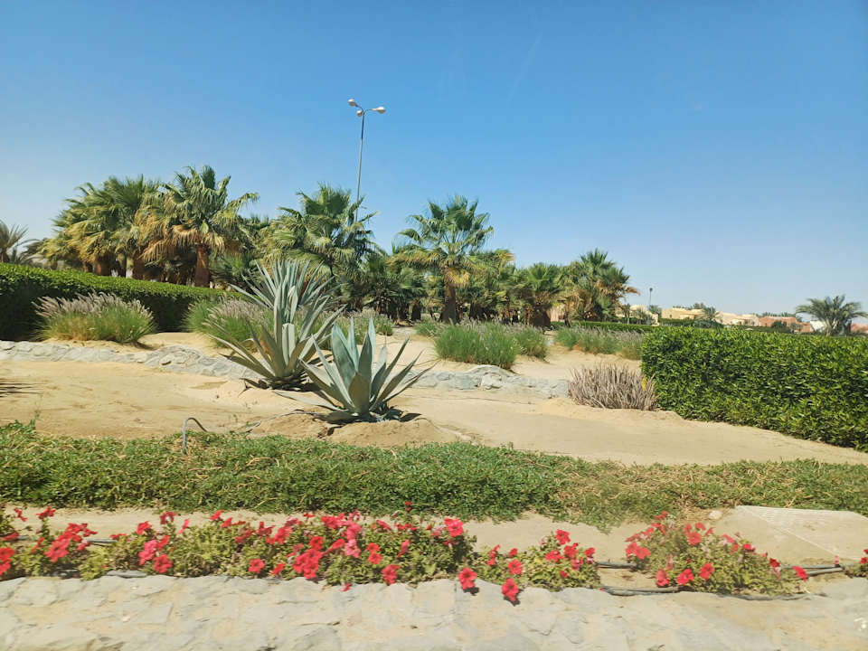 Ausblick Hotel Titanic Palace