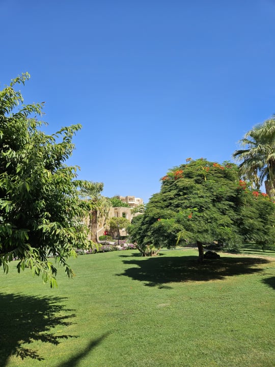 Gartenanlage Brayka Bay Resort