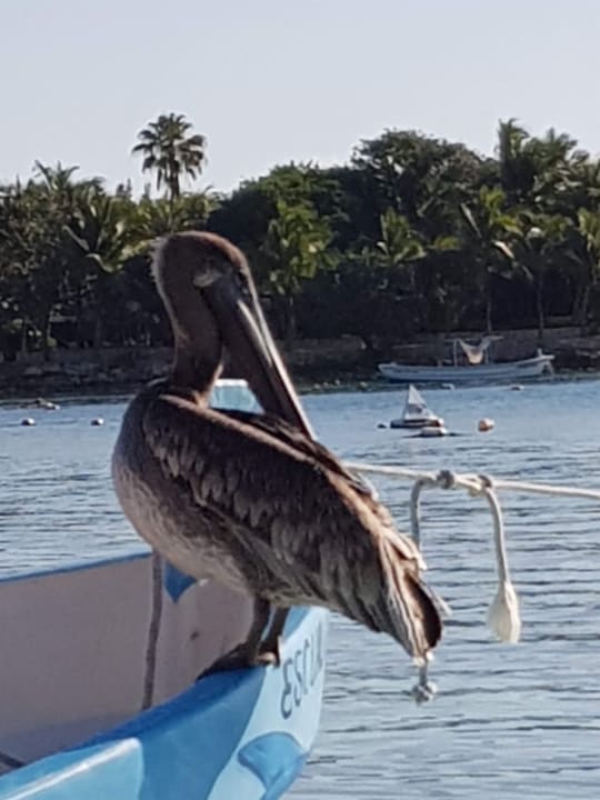 Strand Akumal Bay Beach & Wellness Resort