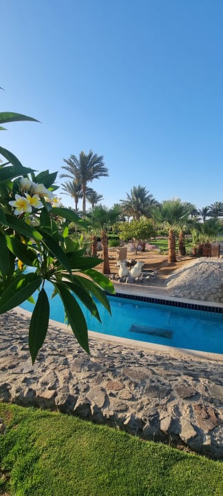 Gartenanlage Steigenberger ALDAU Beach Hotel