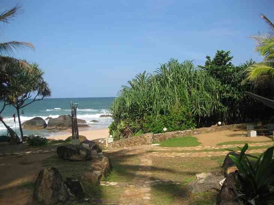 Shakti Villa - Blick auf den Strand geschaut Hotel Sri Lanka Ayurveda Garden & Shakti Villa