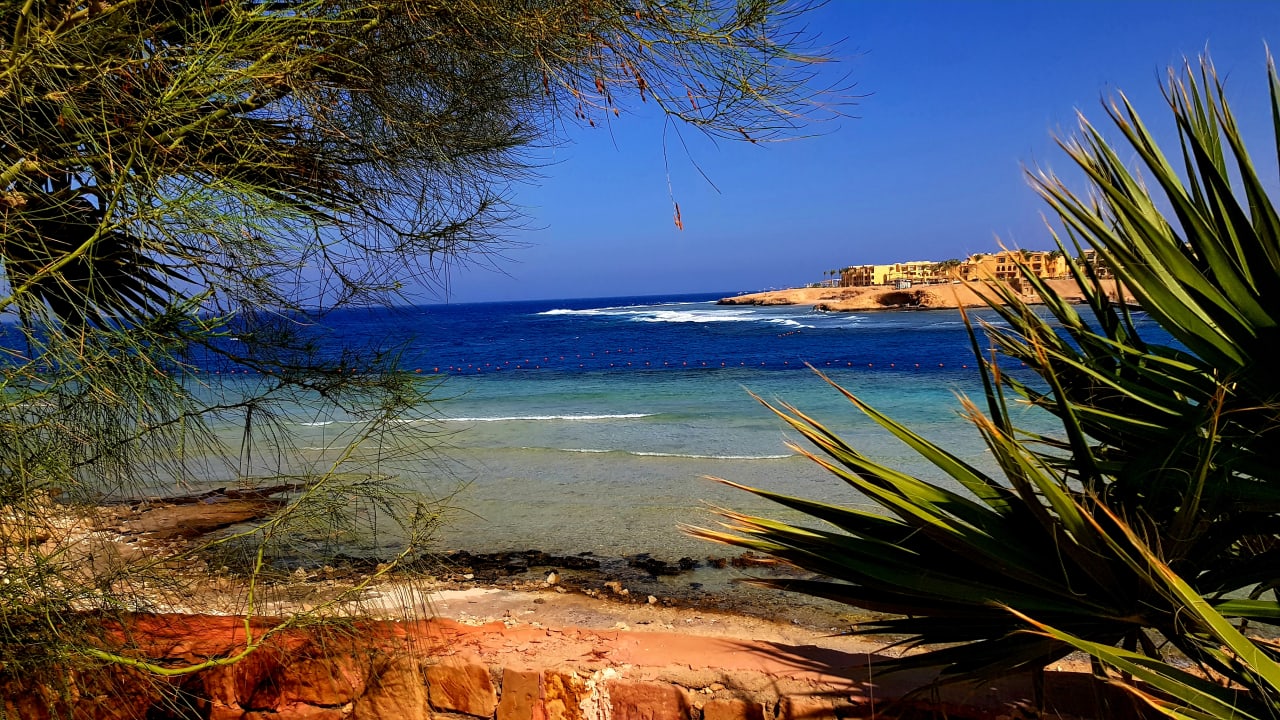 Strand Steigenberger Coraya Beach - Adults only