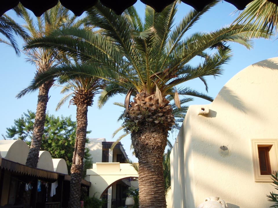 Nochmals Ausblick von unserer Terrasse Hotel Paradis Palace