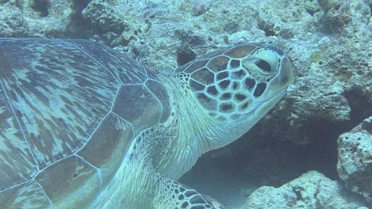 Sonstiges ROBINSON SOMA BAY