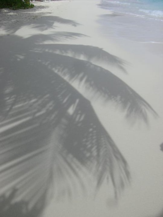 Palme Kuramathi Maldives
