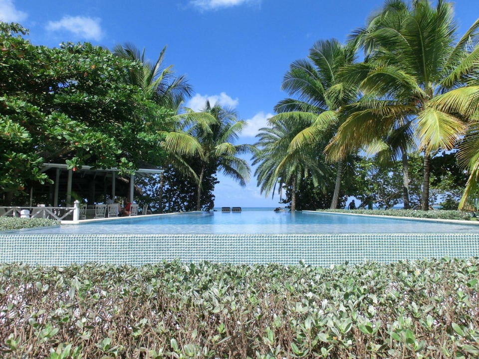 Pool mit Ausblick auf das Meer Hotel Coconut Beach Club