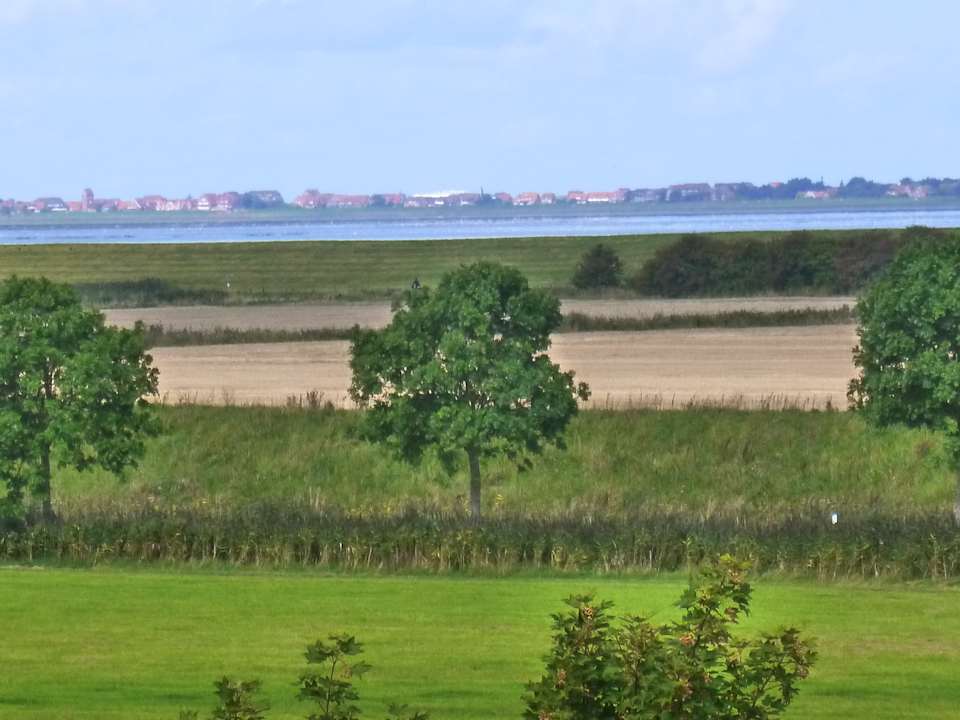 Ausblick Ferienwohnung Inselblick 24