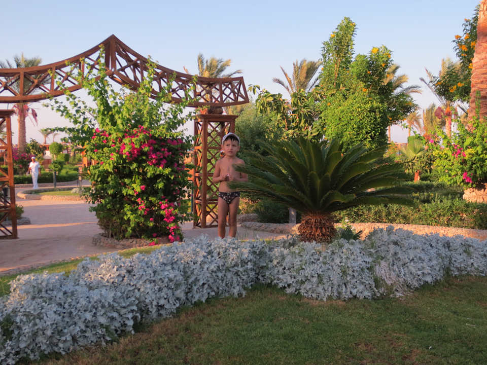 Территория отеля Riviera Aqua Park Resort