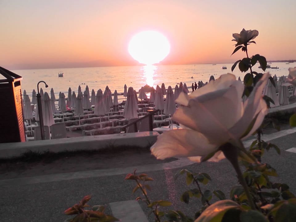 Von der Terrasse aus Side Bay Hotel