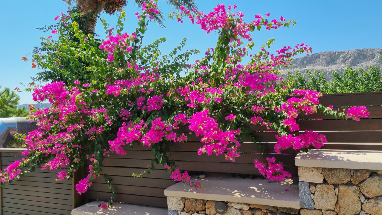 Gartenanlage Aquagrand Artistic Luxury Beach Resort - Adults only