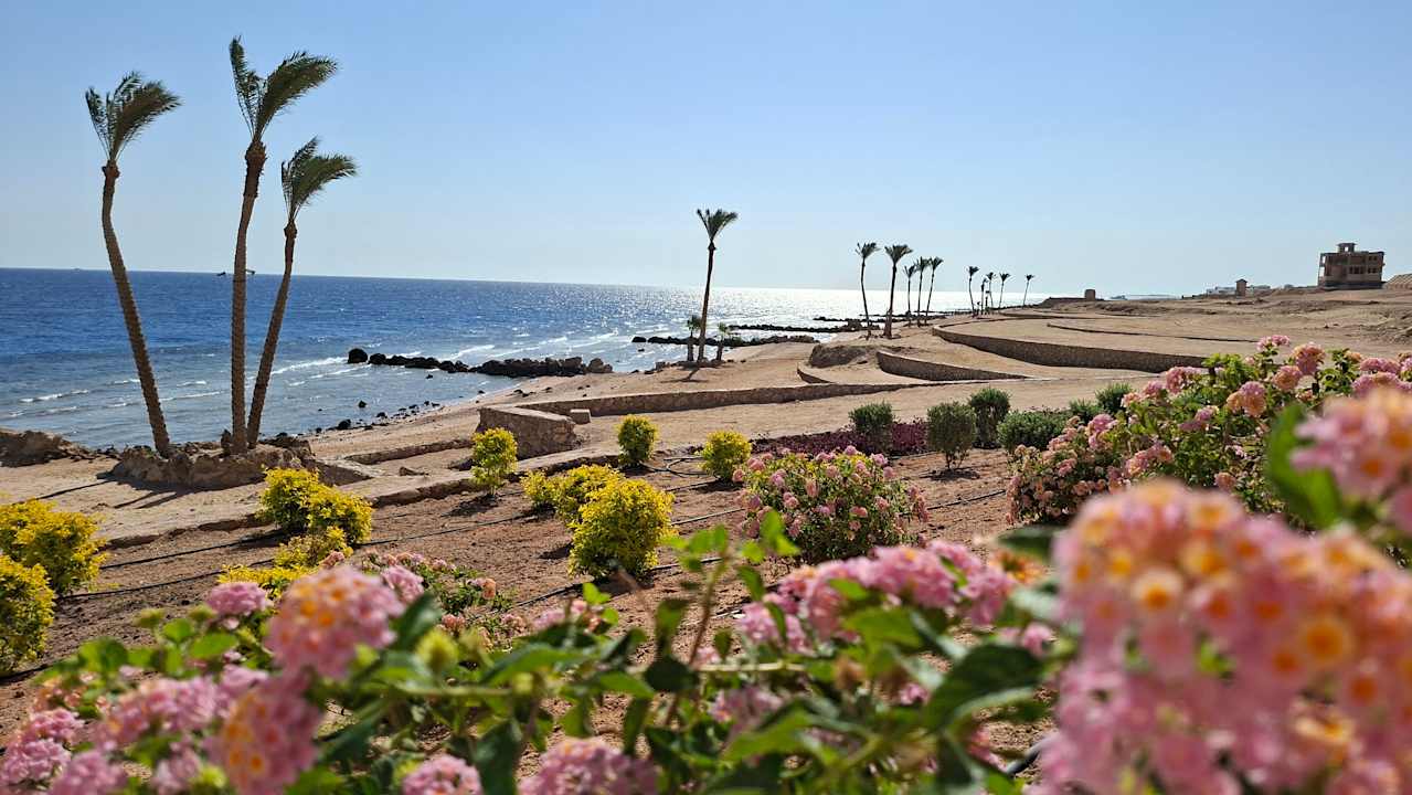 Strand Pickalbatros Citadel Resort