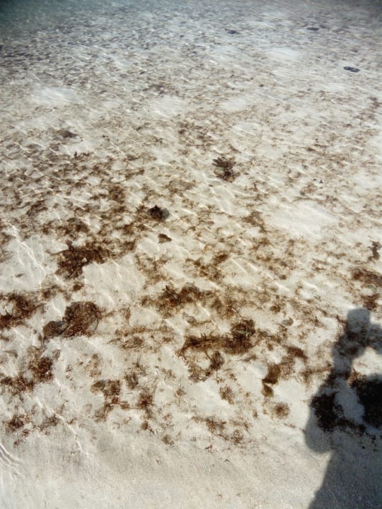 Strand Adaaran Select Meedhupparu Island Resort - Premium All Inclusive