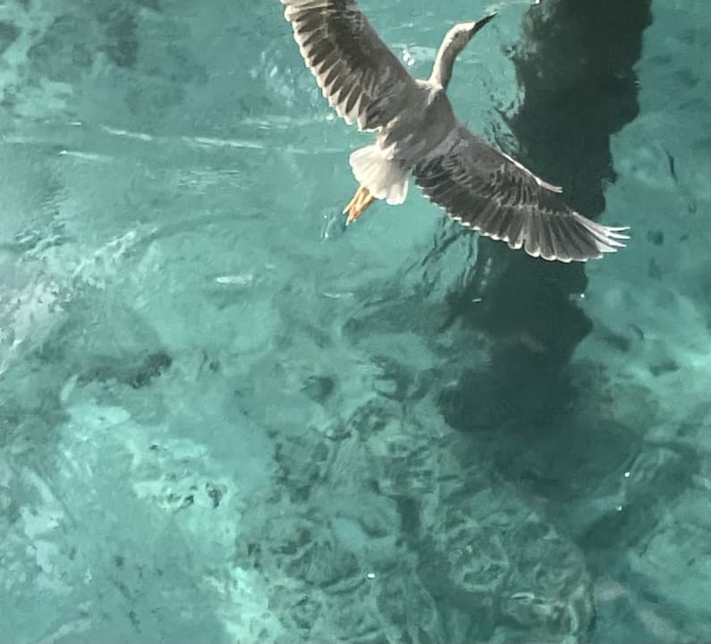 Sonstiges Meeru Maldives Resort Island