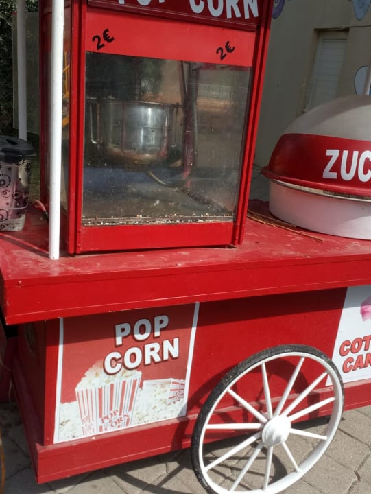 Gartenanlage Hotel Orfeus Park