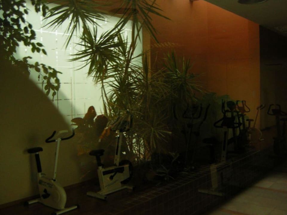 Fitnessraum: Laufband & Räder (kostenlos) Aparthotel Arena Center