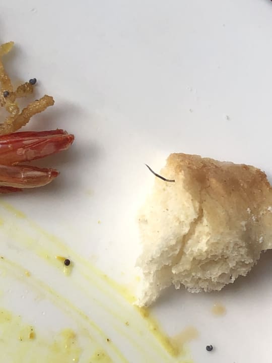 Gastro Blau varadero - Adults only