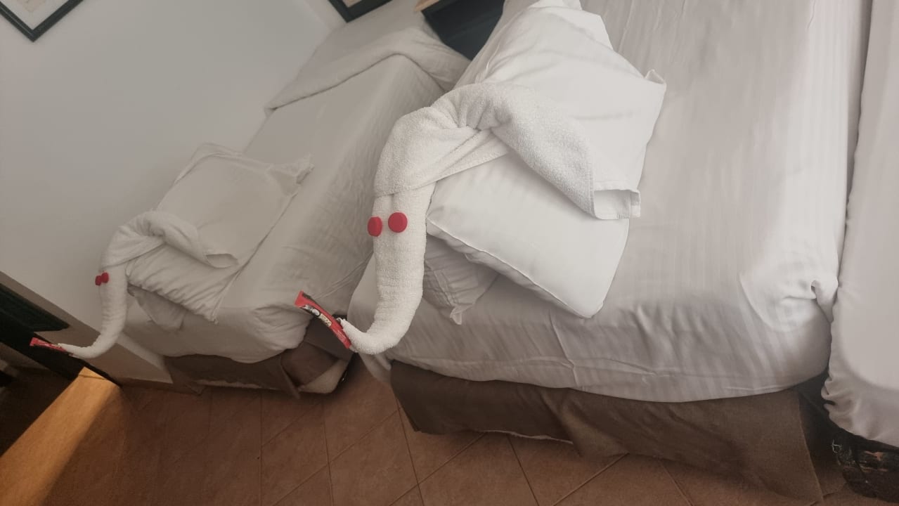 Zimmer JAZ Palmariva Beach