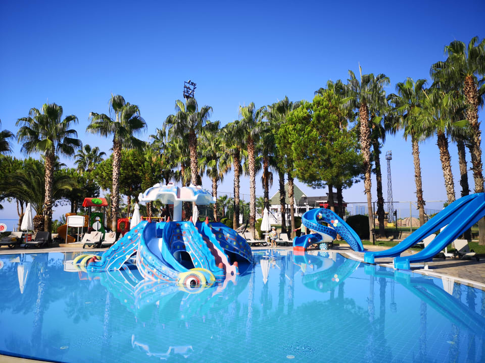 Sport & Freizeit Kamelya Aishen Club