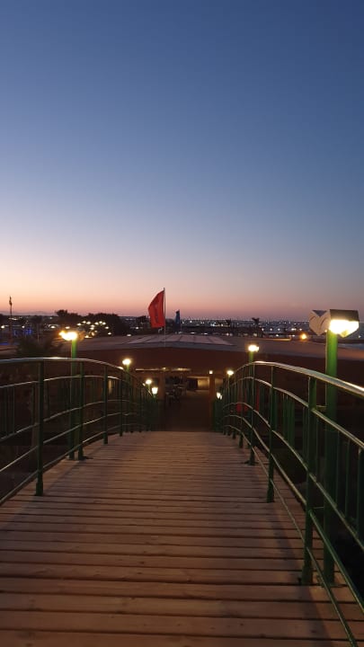Ausblick Desert Rose
