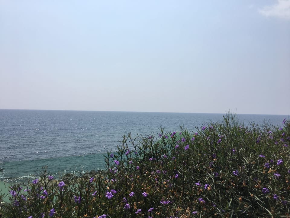 Ausblick Gold Island Selected