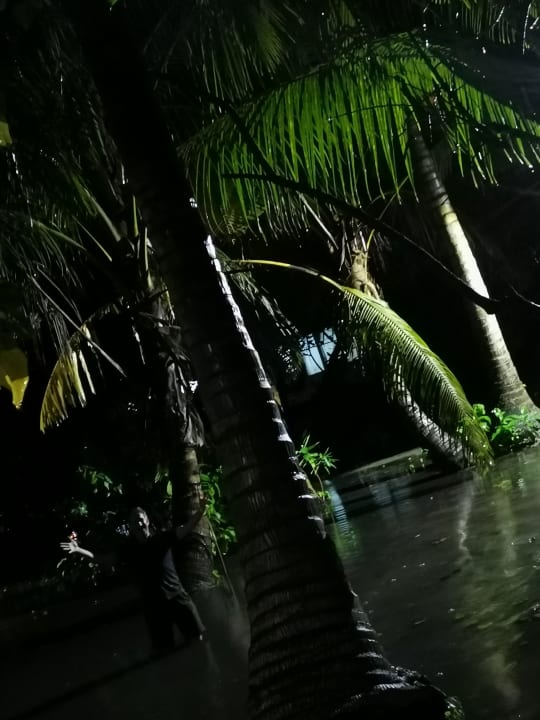 Gartenanlage Ellaidhoo Maldives by Cinnamon