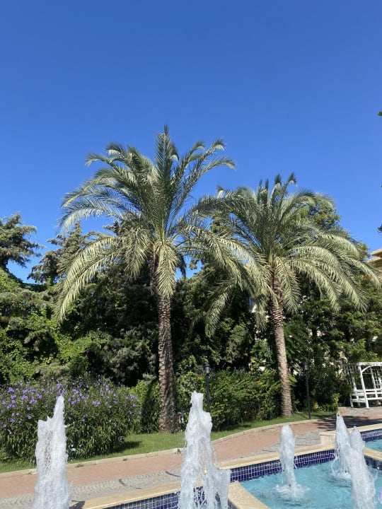 Außenansicht Adalya ArtSide