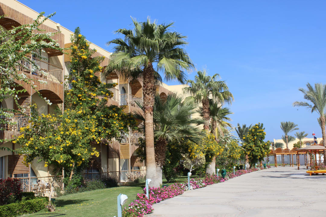 Территория отеля Desert Rose