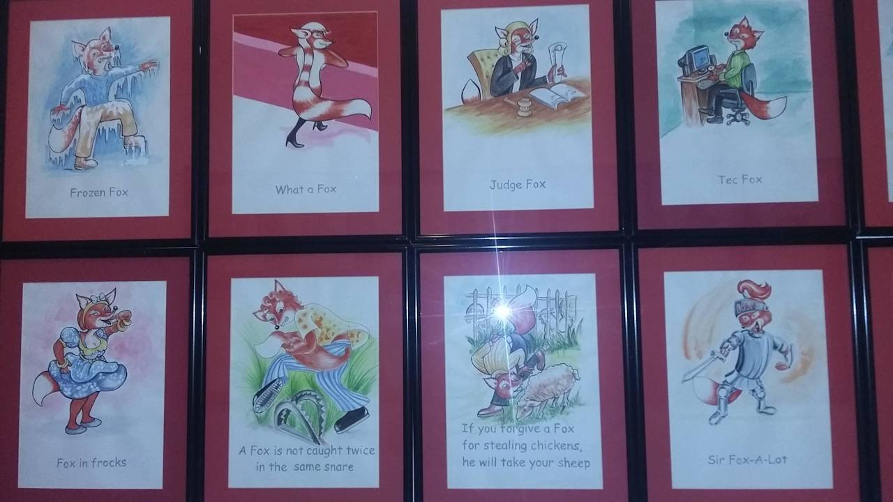 Przygody Red Foxa Hotel Red Fox - Jaipur