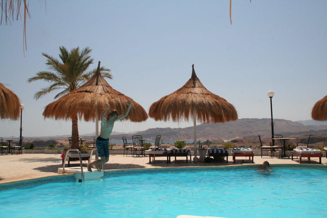 Basen z widokiem  Albatros Sharm Resort